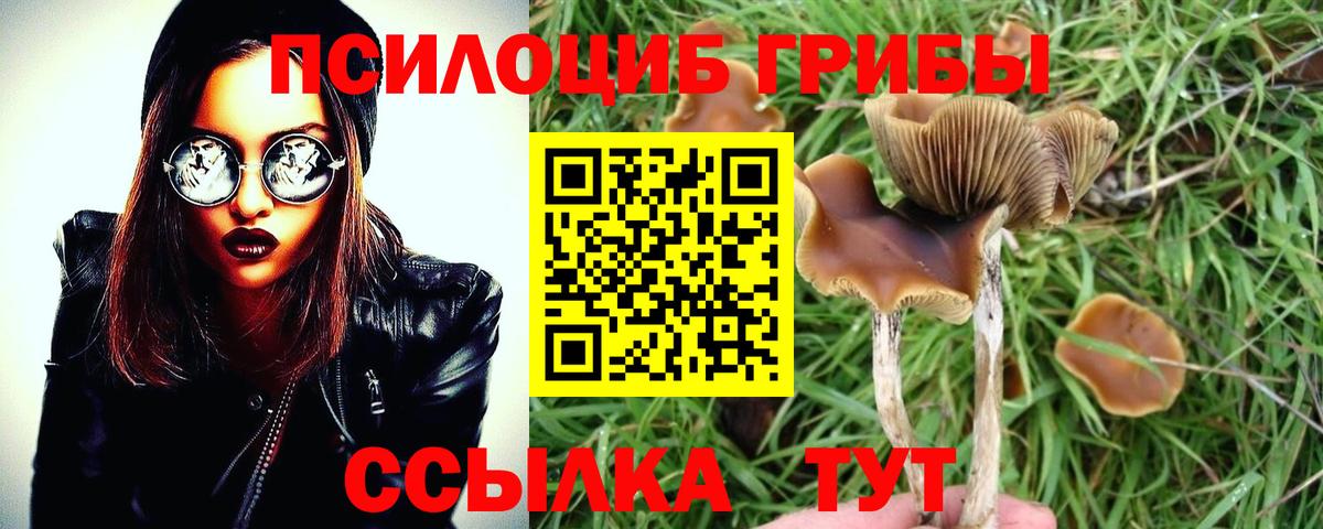 Мыски  наркошоп  Псилоцибиновые грибы Psilocybine cubensis  Вход с VPN  Галлюциногенные грибы MAGIC MUSHROOMS 